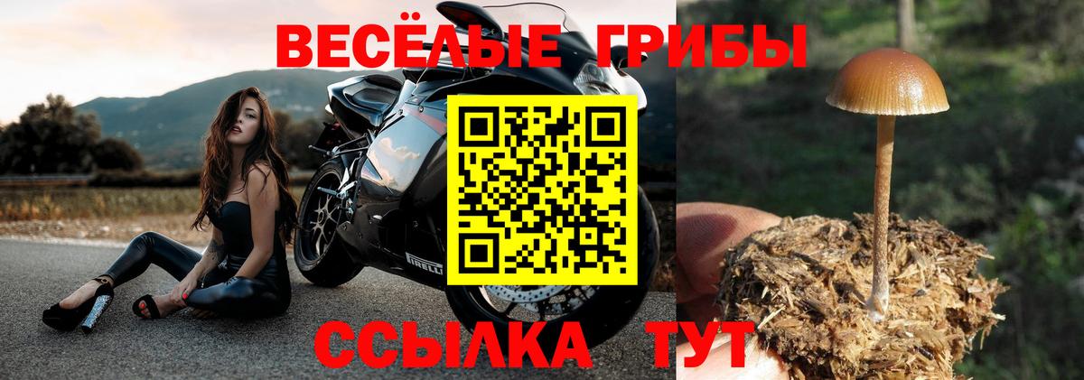 Псилоцибиновые грибы прущие грибы  Псилоцибиновые грибы Cubensis  дарнет шоп  Вход с VPN  Карталы 
