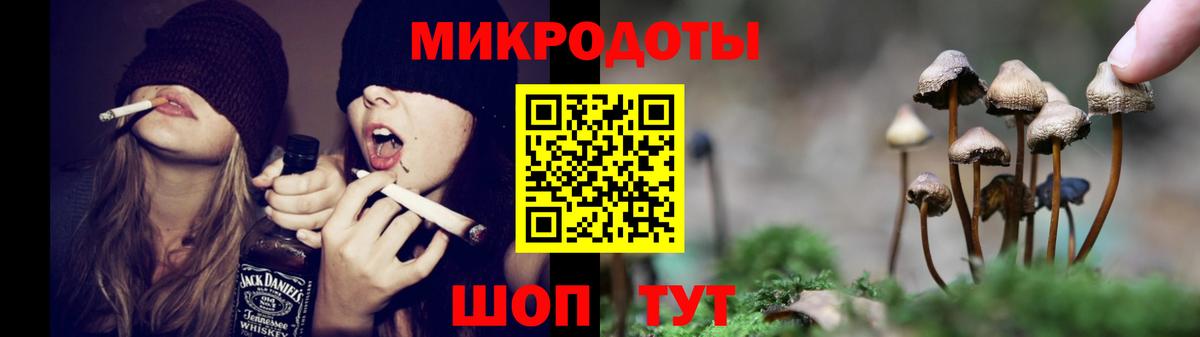 Псилоцибиновые грибы Psilocybine cubensis Карталы
